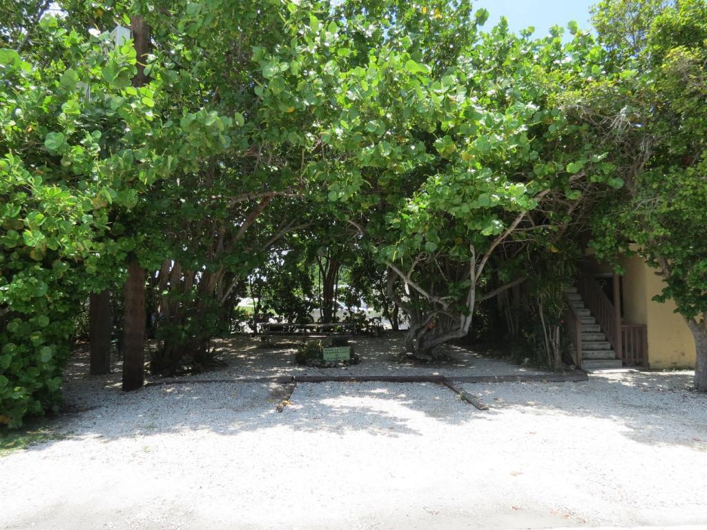Ed & Ellen'S Lodgings Key Largo Motel ภายนอก รูปภาพ