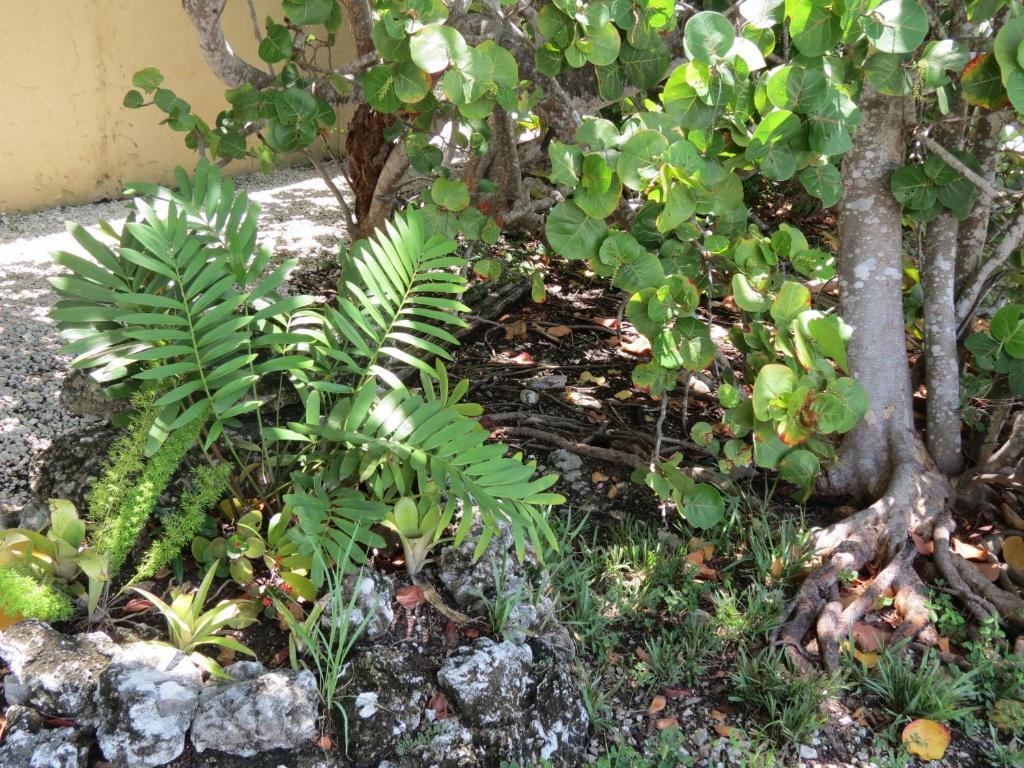 Ed & Ellen'S Lodgings Key Largo Motel ภายนอก รูปภาพ