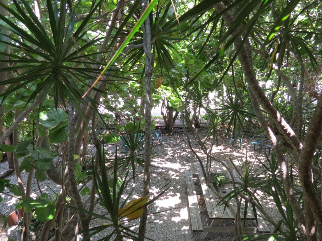 Ed & Ellen'S Lodgings Key Largo Motel ภายนอก รูปภาพ