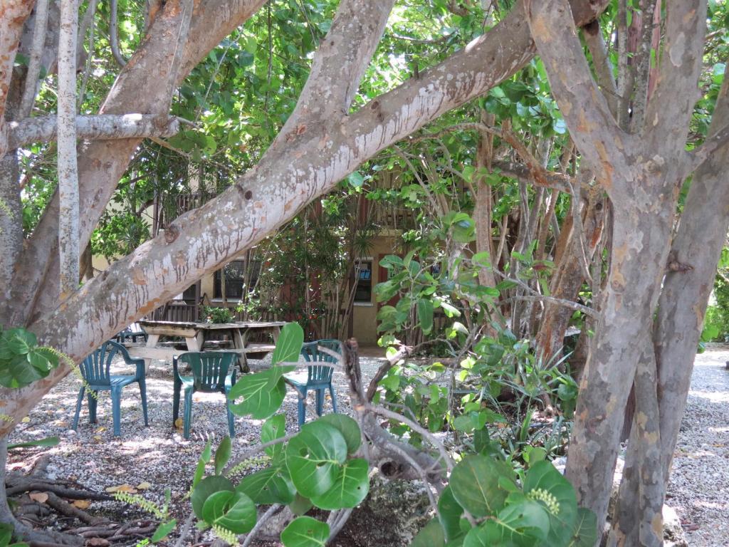 Ed & Ellen'S Lodgings Key Largo Motel ภายนอก รูปภาพ